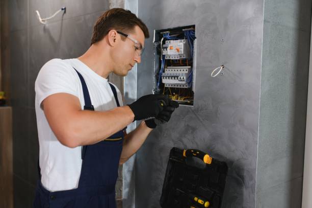 Best Electrical System Inspection  in Cedar Grove, WI